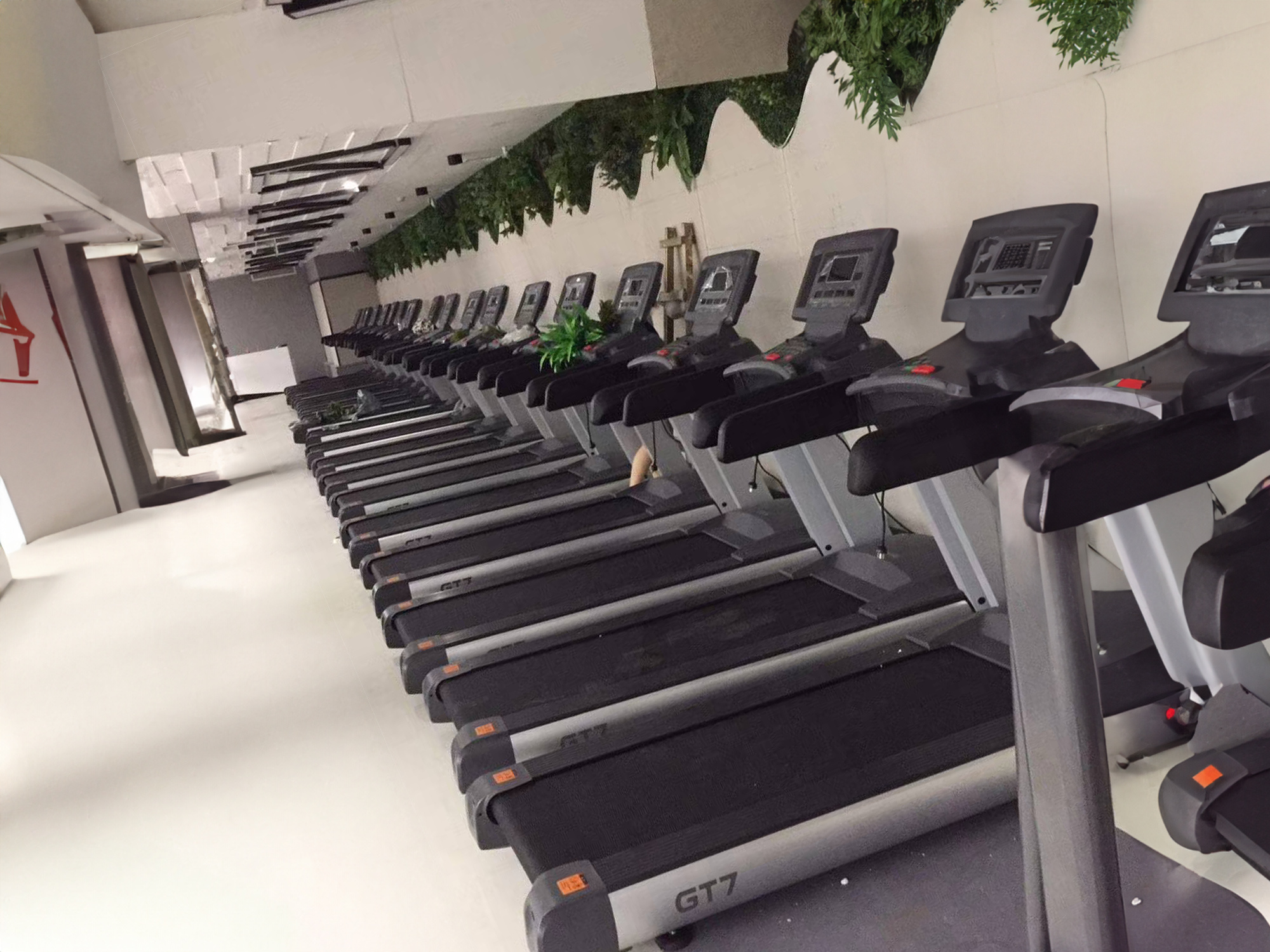Gym Pictures